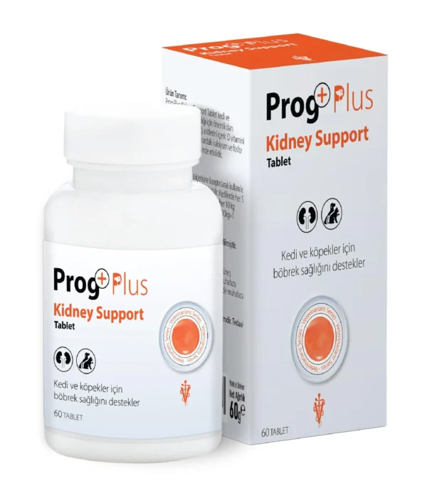 Kidney Support Tablet