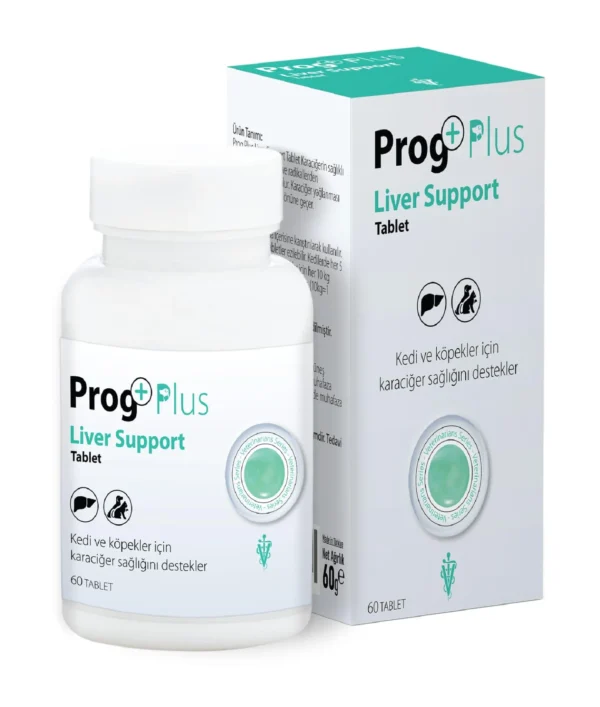 Liver Support Tablet