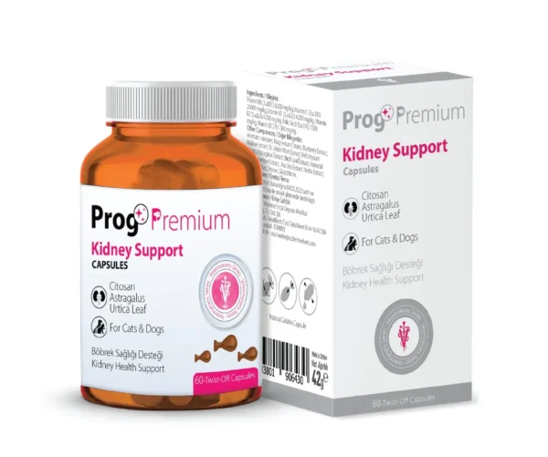 Kidney Support Capsules