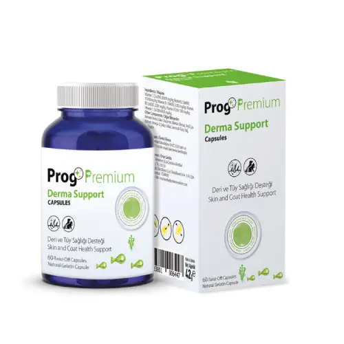 Derma Support Capsules
