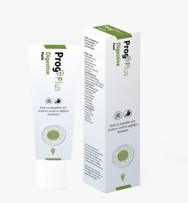 Digestive Paste