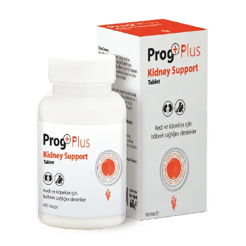 Kidney Support Tablet