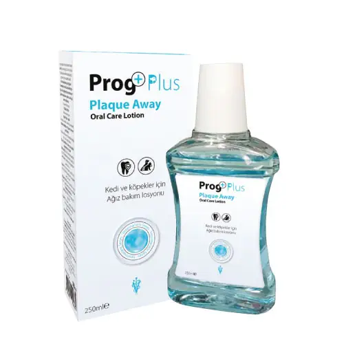 Plaque Away Oral Care Lotion