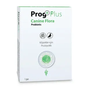 Canine Flora Probiotic